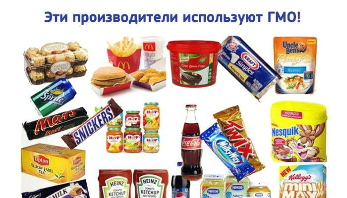 Продукты содержащие гмо картинки