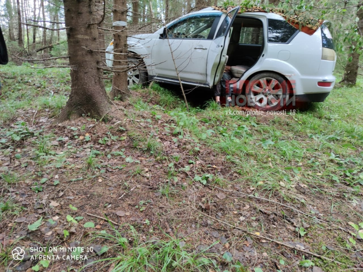 Найдены 1 автомобиль найдено 1 лицо. Нашли авто в лесу.