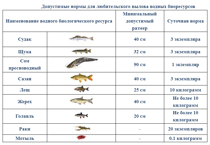 На рисунке изображены треска и окунь длина окуня 20 см какова