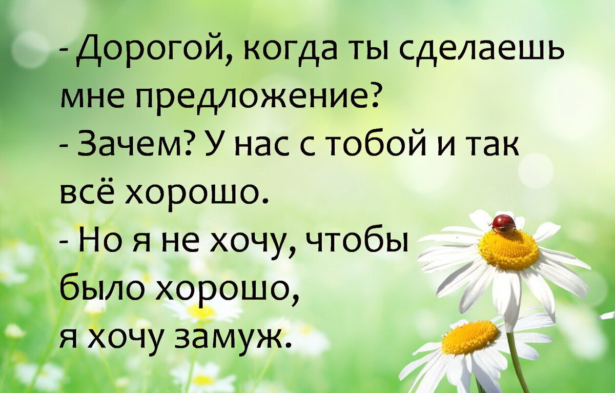Тебе кажется что ты знаешь все. Тебе кажется что ты знаешь все