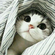 Лариса, г. Норильск