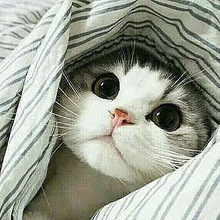 ЛАРЗИК, г. Норильск