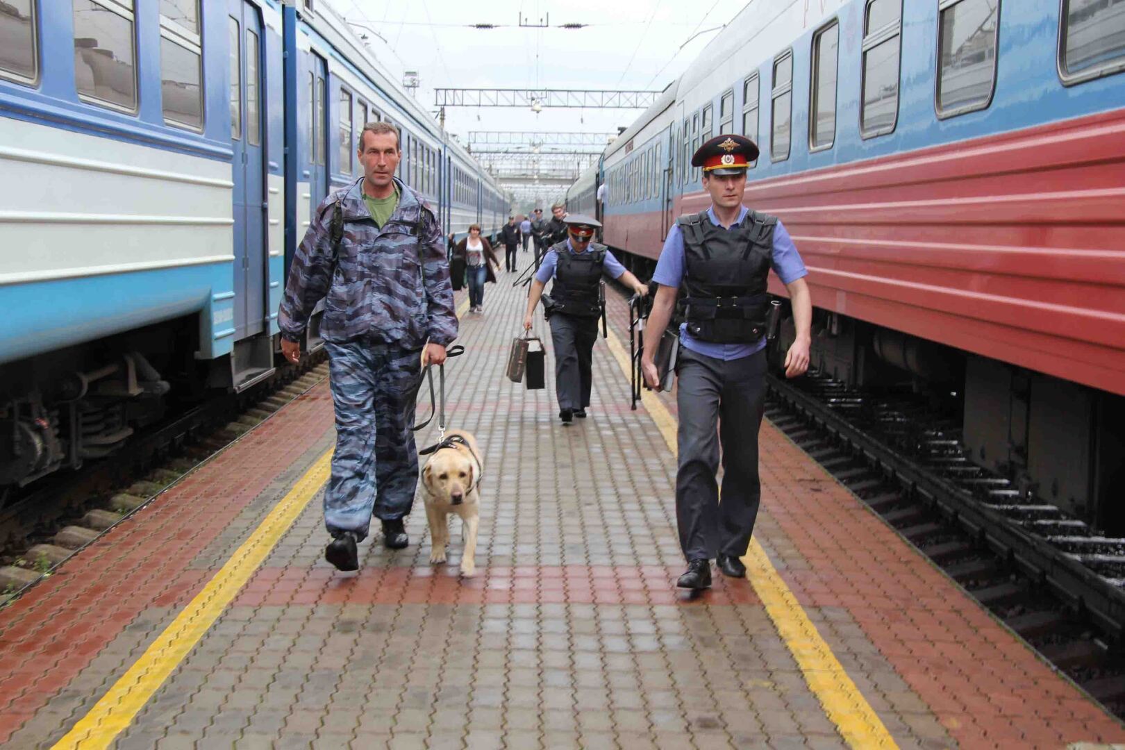 Полиция железнодорожный. Полиция на ЖД транспорте. Транспортная полиция вокзал. Милиция на железной дороге. Транспортная полиция РЖД.