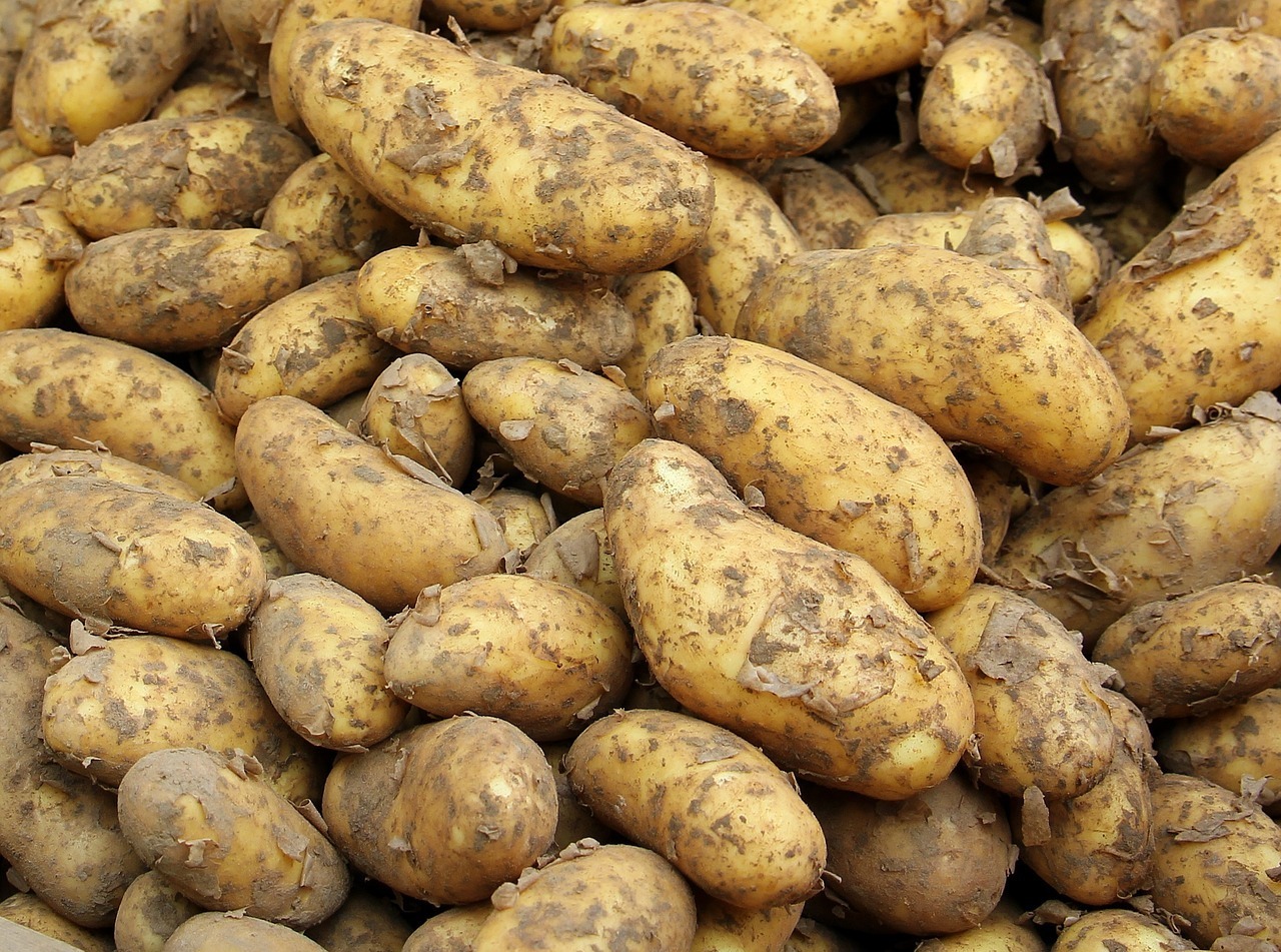 картинки русской картошки