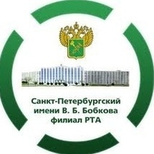  Киченина Виктория Сергеевна, г. Санкт-Петербург