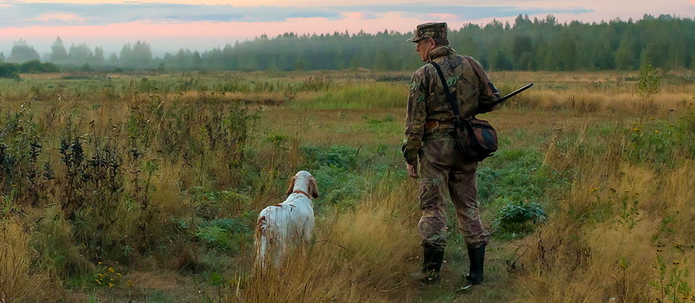 Осенняя охота 2021: сроки открытия и проведения по регионам России - охота на утку, медведя, кабана