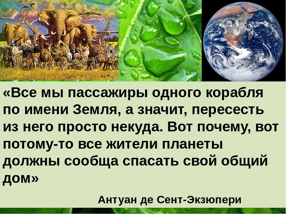 Пятая земля. Высказывания о биологии. Цитаты про биологию. Цитаты великих о биологии. Цитаты по биологии.