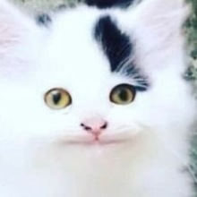 Елена, г. Кемерово