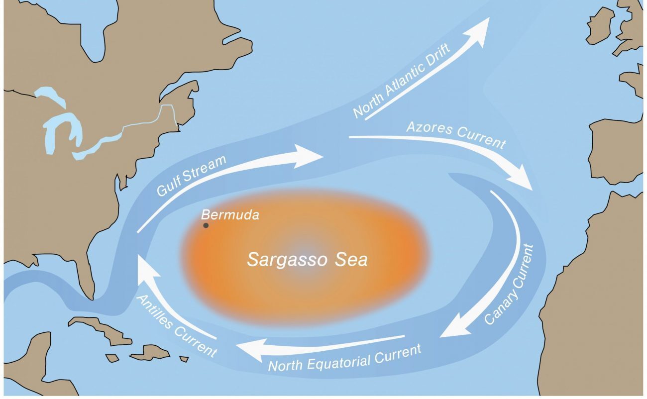 Саргассово море и Бермудский треугольник на карте