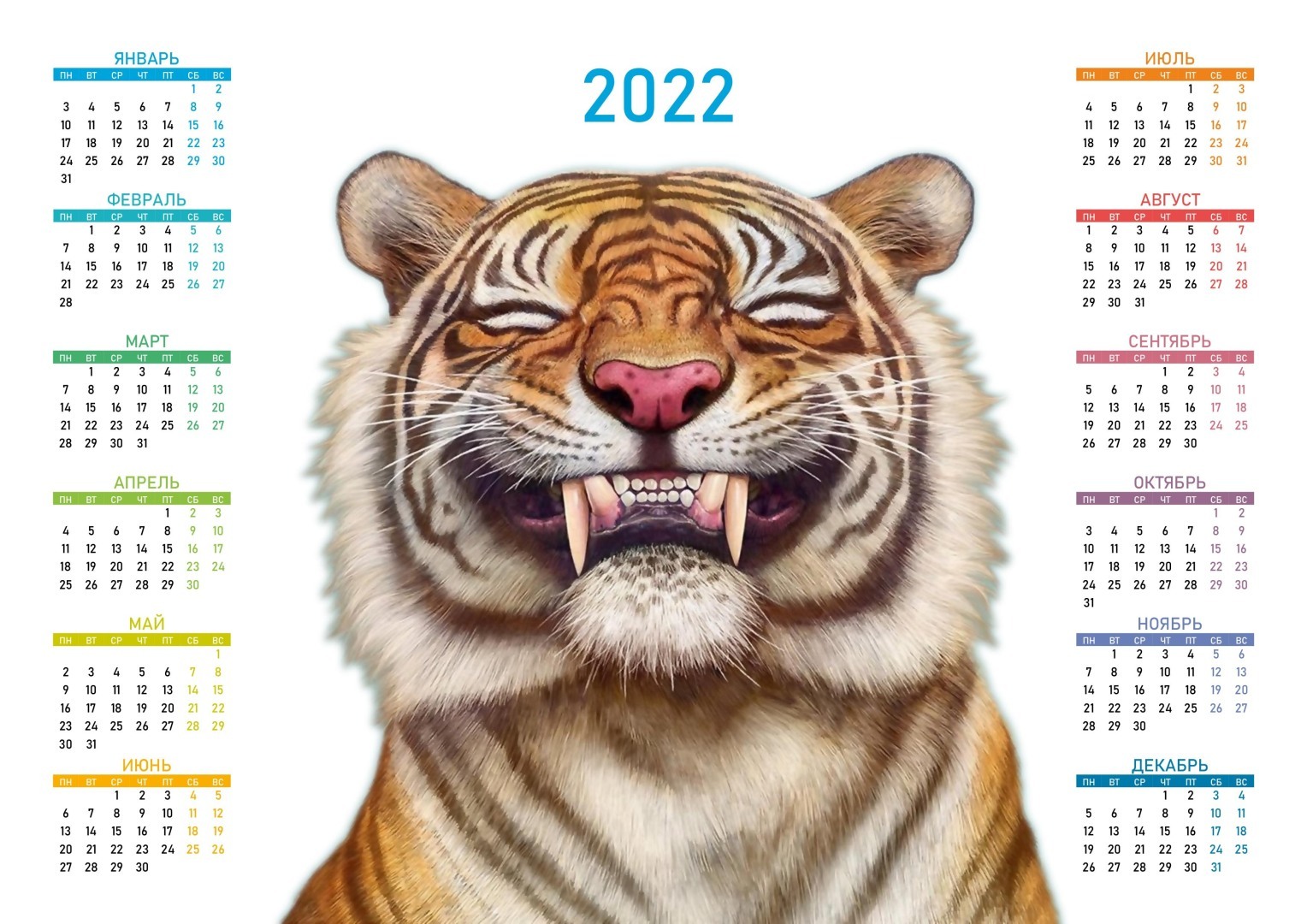 Новые Указы 2022 Года