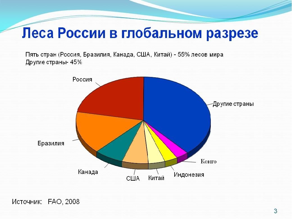 Какой процент россии занимают лесные зоны