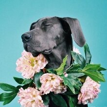 Ася Нигаматова, г. Самара