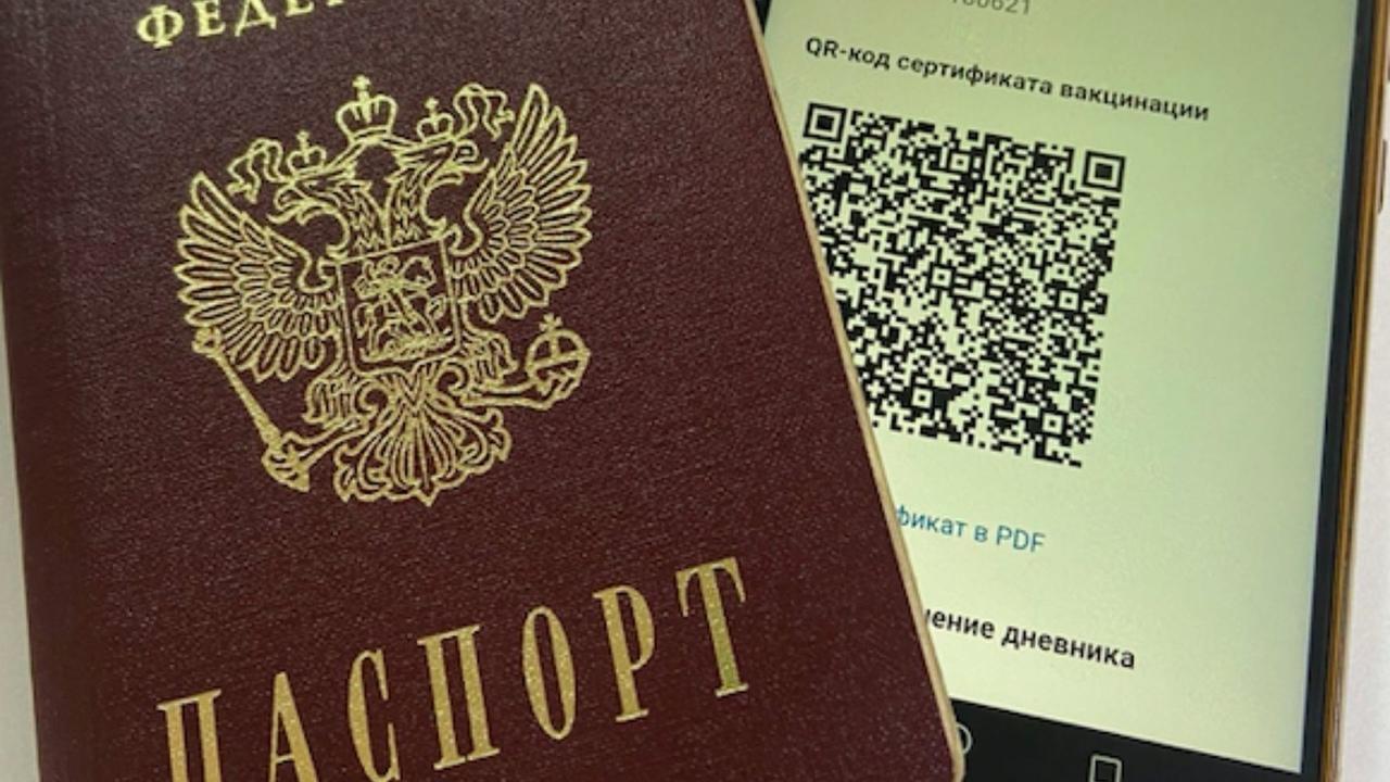 что дает куар код при коронавирусе в башкортостане. 400bd153f77dbaebfd9ec1d5e6f0a838. что дает куар код при коронавирусе в башкортостане фото. что дает куар код при коронавирусе в башкортостане-400bd153f77dbaebfd9ec1d5e6f0a838. картинка что дает куар код при коронавирусе в башкортостане. картинка 400bd153f77dbaebfd9ec1d5e6f0a838. Фото Густаво Зырянова, Сиб.фм