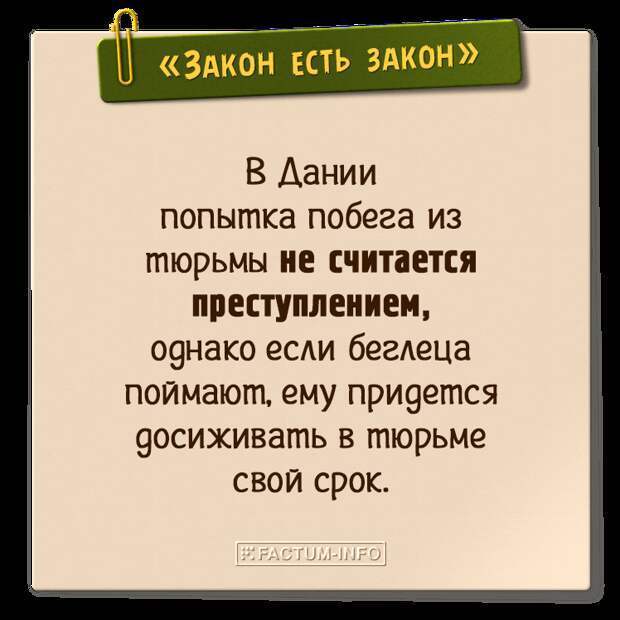 интересные законы в разных странах. автор дурацких законов. законы. нелепые законы в россии. самый прикольный закон картинки.