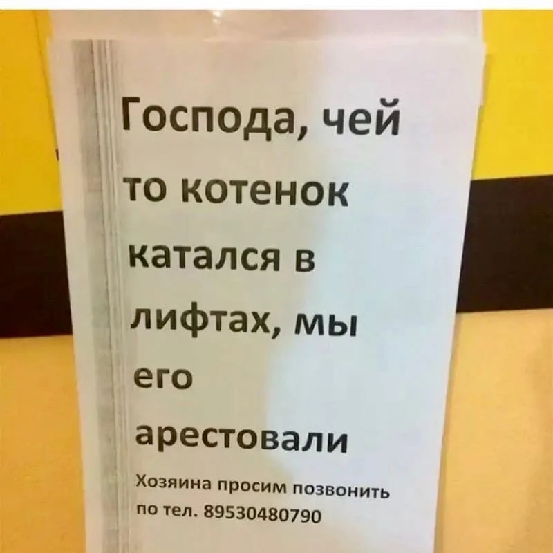 Мальчик на лифте катался все хорошо. Смешные объявления. Объявления приколы. Прикольные надписи и объявления. Самые прикольные объявления.