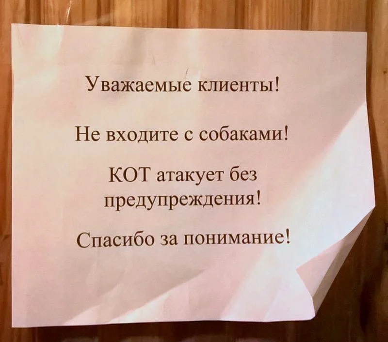 Объявление в картинках