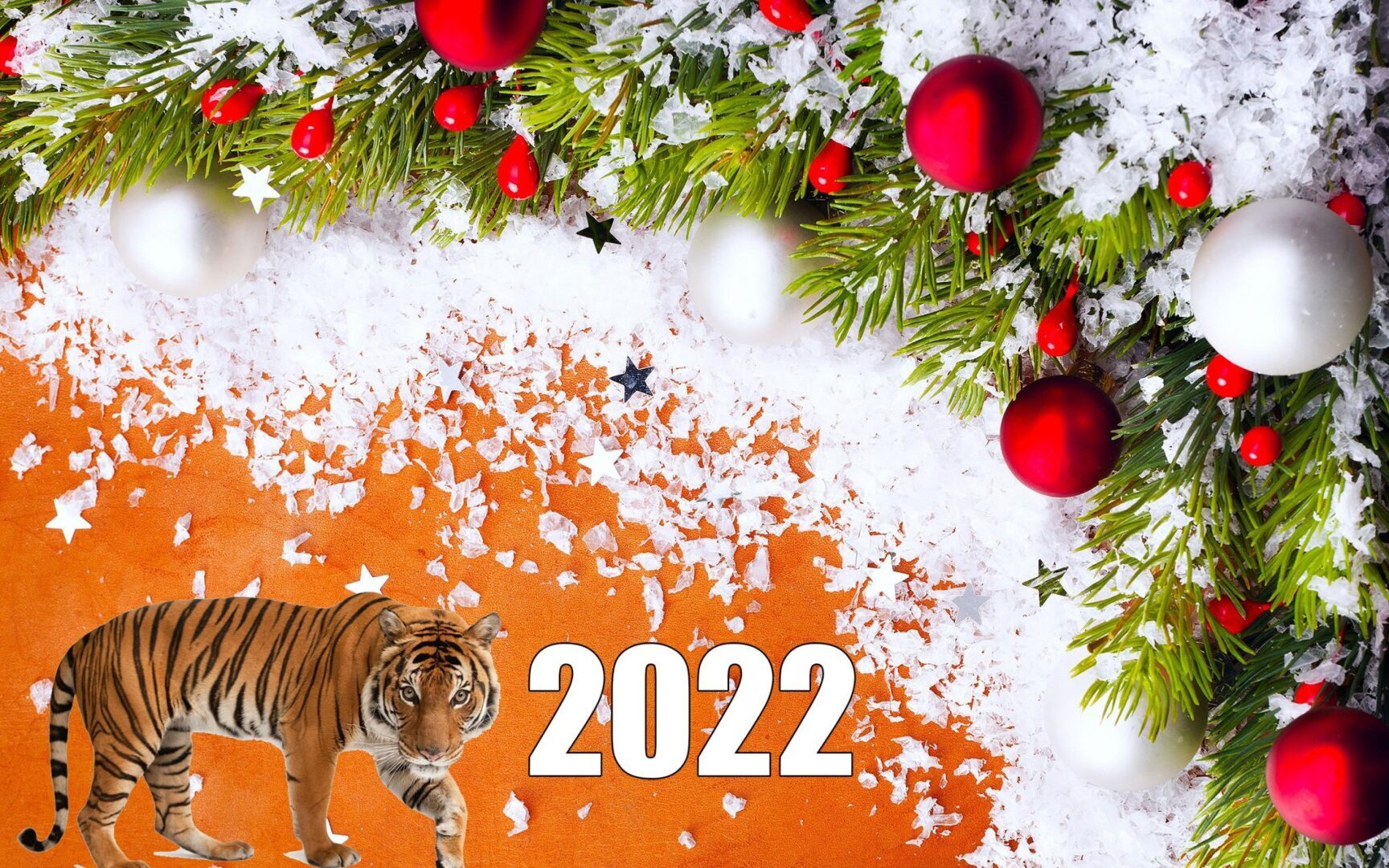 Что Приготовить На Новый 2022 Год Тигра