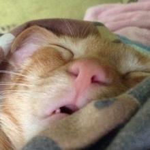 Александр Казанский, г. Казань