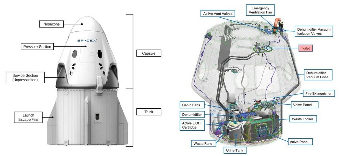 Dragon 2.5 g lan. Dragon 2 SPACEX схема. Драгон космический корабль схема. Crew Dragon космический корабль схема. SPACEX Crew Dragon туалет.