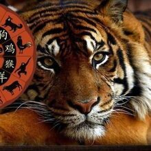 Ирина Ан., г. Санкт-Петербург