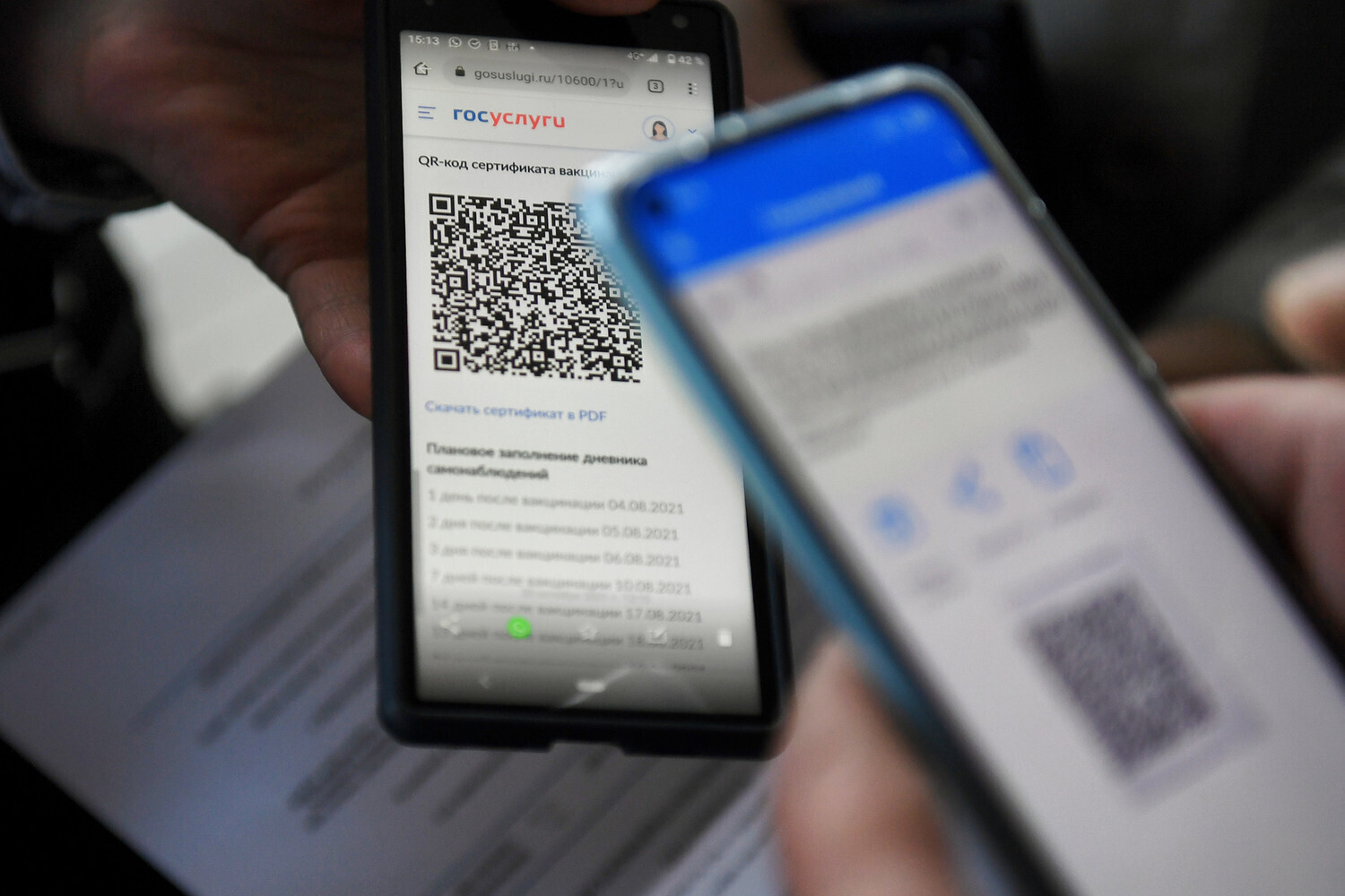 Госуслуги» сократили россиянам срок действия QR-кодов. Как власти объяснили  это | Мария. К, 16 ноября 2021