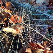 Николай Матвеев, г. Ростов-на-Дону