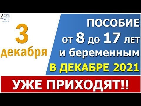 Социальные пособия в 2022 году. Пособие 3 августа. Региональные выплаты. Занимательный русский язык 1 класс мищенкова. Пособия 2022.