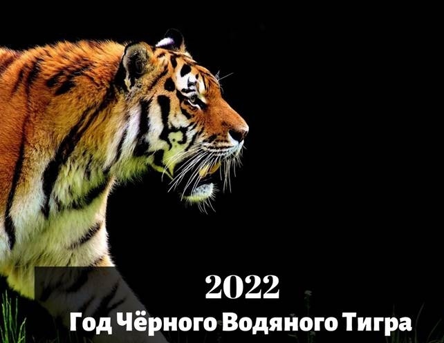 Займ На Карту Новый 2022 Года Займ На Карту Новый 2022 Года