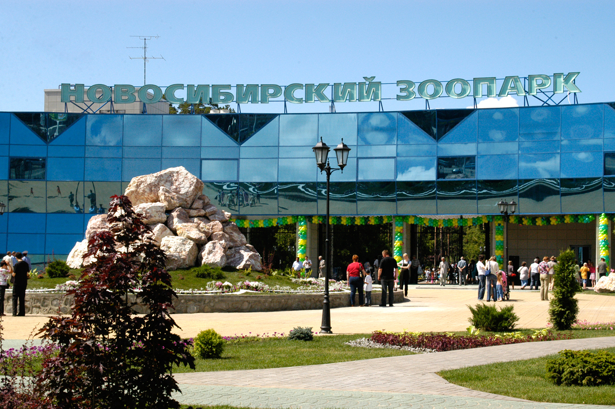 Новосибирск зоопарк 2022