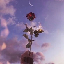 Антонина, г. Сочи