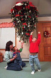 Традиция новогоднего дерева: почему елку подвешивают вверх ногами