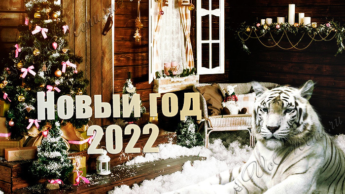 Воронеж Новый Год 2022 Фото