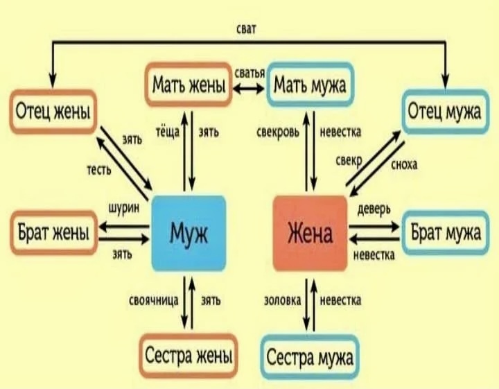 Родственники кто кому кем приходится схема на русском