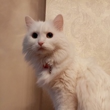 Анастасия Александровна Фадеева, г. Пермь