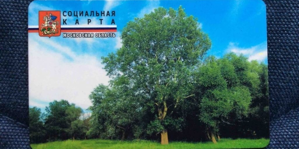 Письменная и реальная забота о здоровье людей возрастом 60+ губернатора Подмосковья Воробьёва