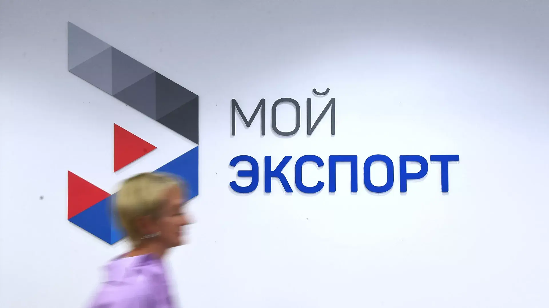 Одно окно рэц презентация