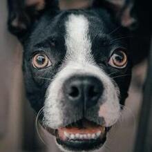 Дмитрий Юрьевич, г. Ярославль