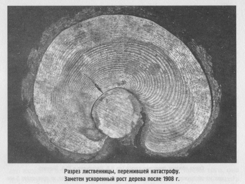 Тунгусский метеорит: какие факты о «Тунгуске» не принято афишировать