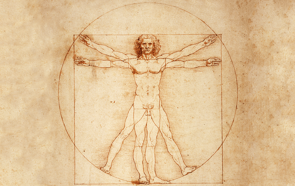 Витрувианский человек картинки