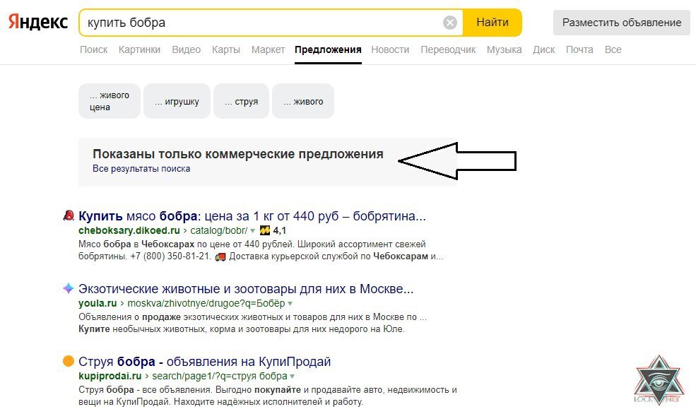 Ниша, в которой не хватает нормальных специалистов, с