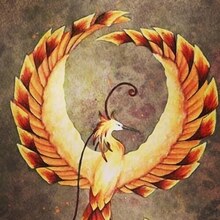 @Avrora Evseeva, г. Хабаровск