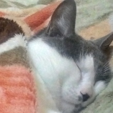 Инна, г. Владивосток