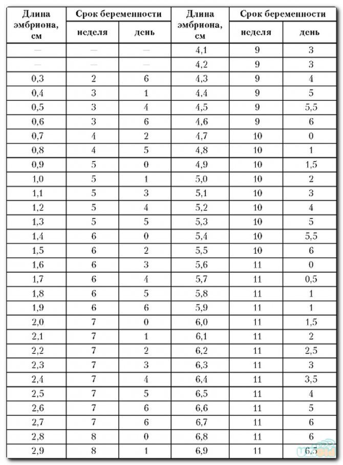 Календарь беременности: как правильно высчитать сроки беременности