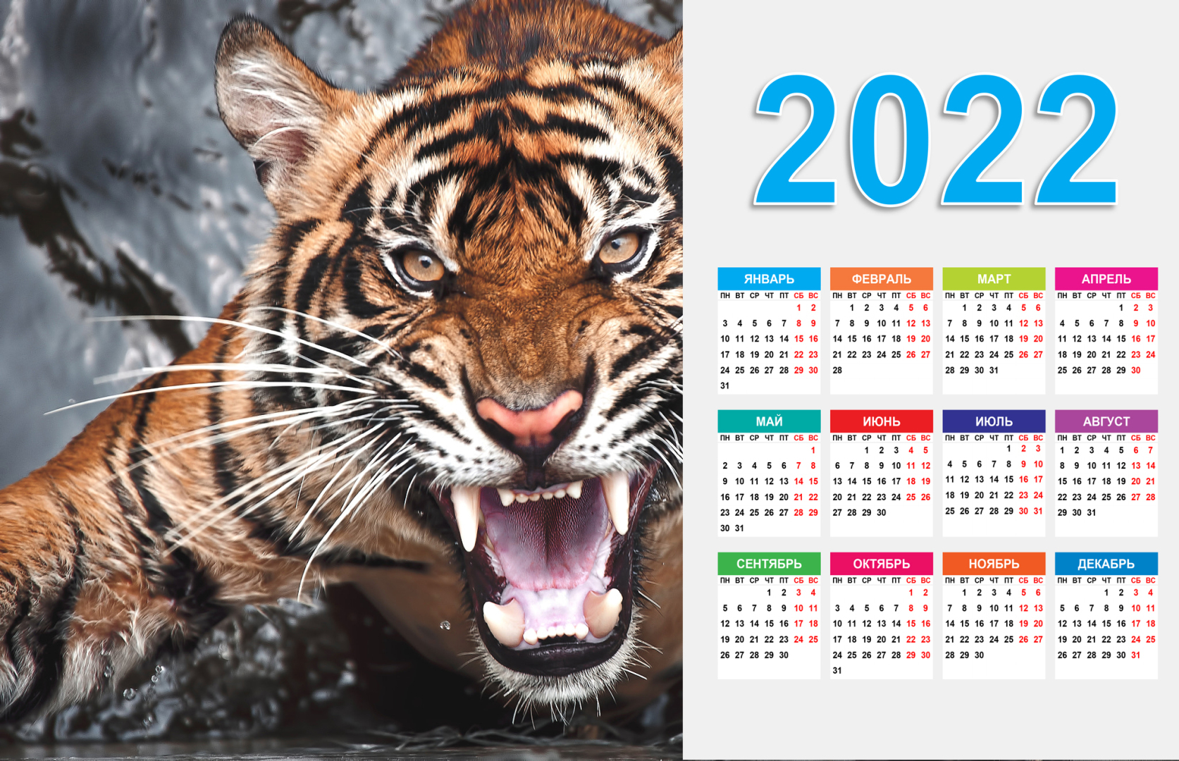 На стол на новый год 2022 год тигра