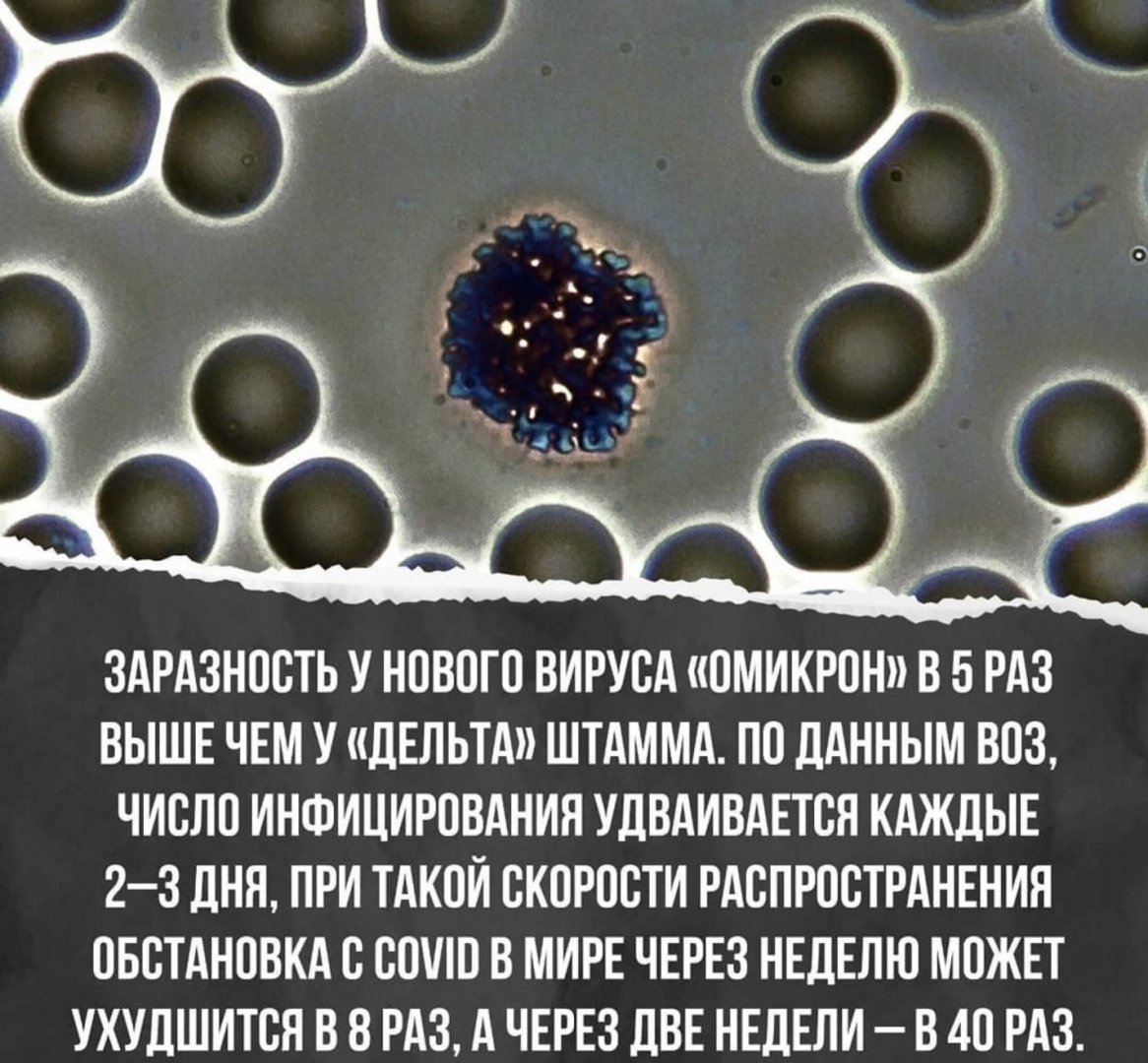 Коронавирус штаммы омикрон