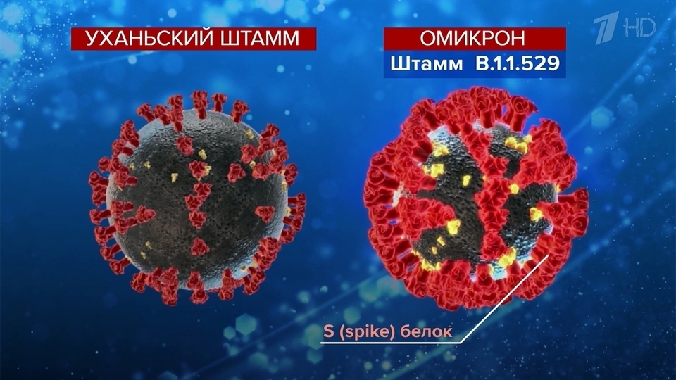 Омикрон штамм коронавируса россия. Омикрон вирус. Коронавирус штаммы. Как выглядят вирусы.