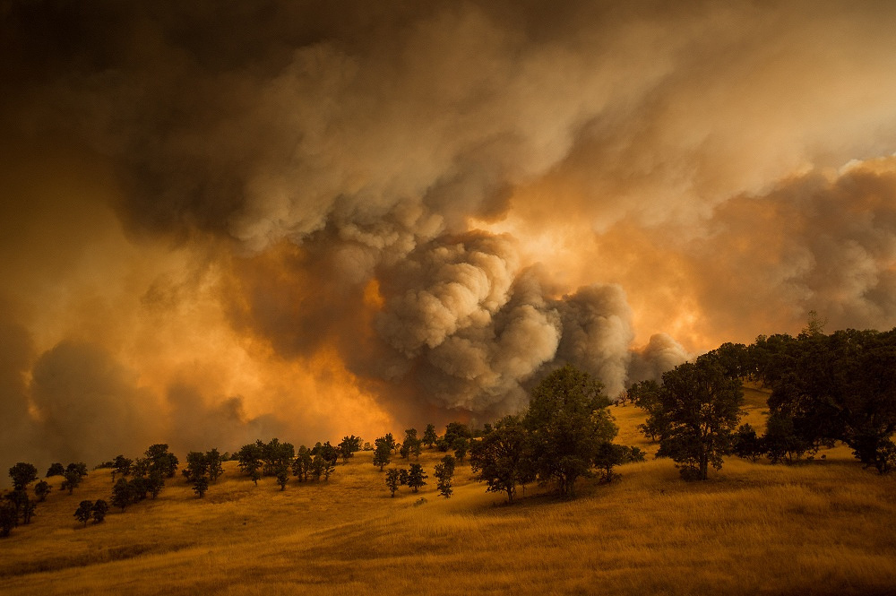 Пожары 2015 год. Пожары в Северной Калифорнии, США, 2015 год © EPA/Noah Berger. Стихийные бедствия. Природные катастрофы климат. Пожары в США глобальные изменения климата.