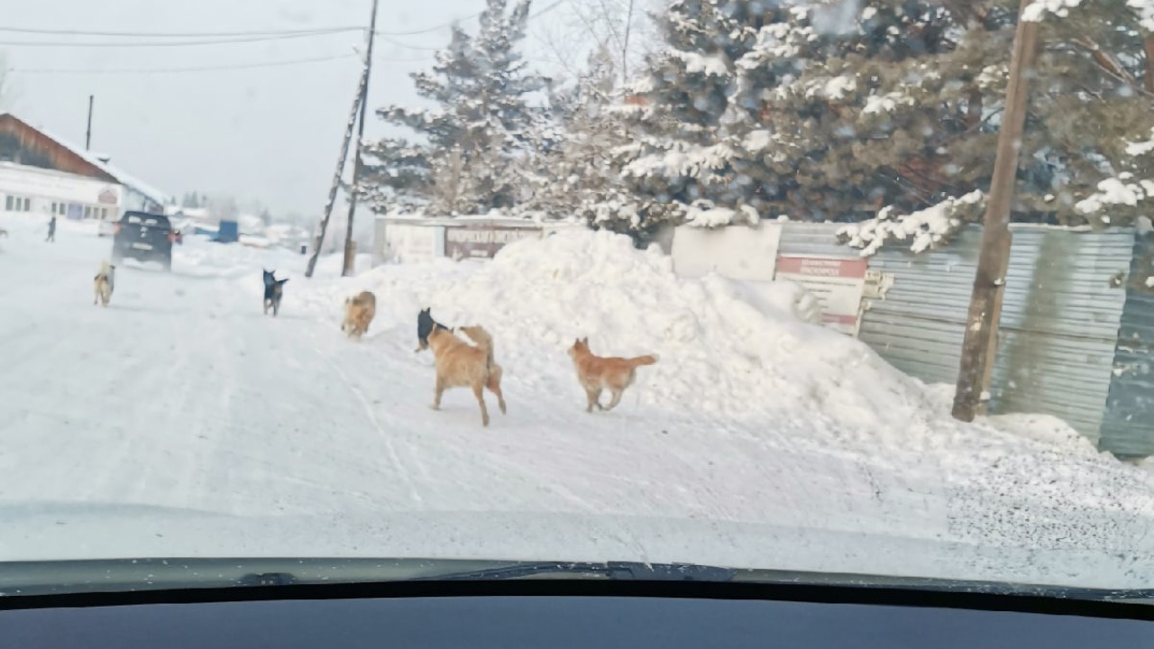 Фото енисейск зимой