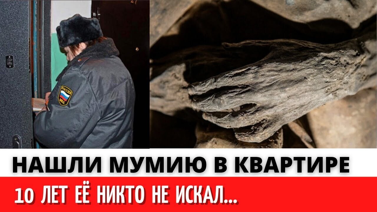 Трехлетнюю мумию обнаружили в квартире в Москве