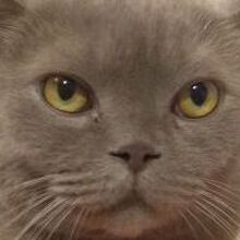 Оксана, г. Москва